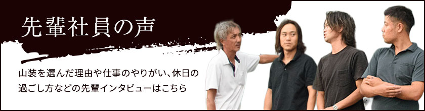先輩社員の声